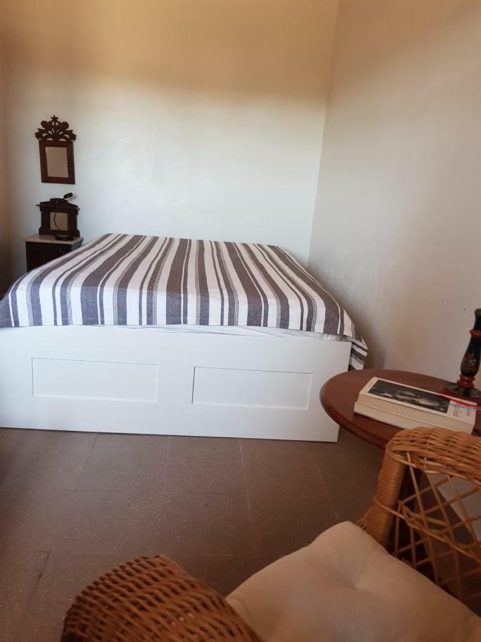 Apartament Monte Da Clareira - Comporta Carvalhal Melides Grândola Zewnętrze zdjęcie